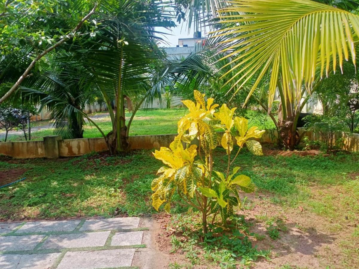 Sinai Homestay Alappuzha Екстер'єр фото